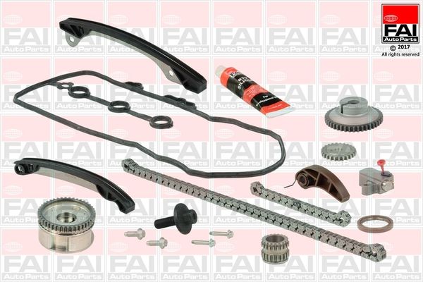 FAI AUTOPARTS pavaros grandinės komplektas TCK249VVT